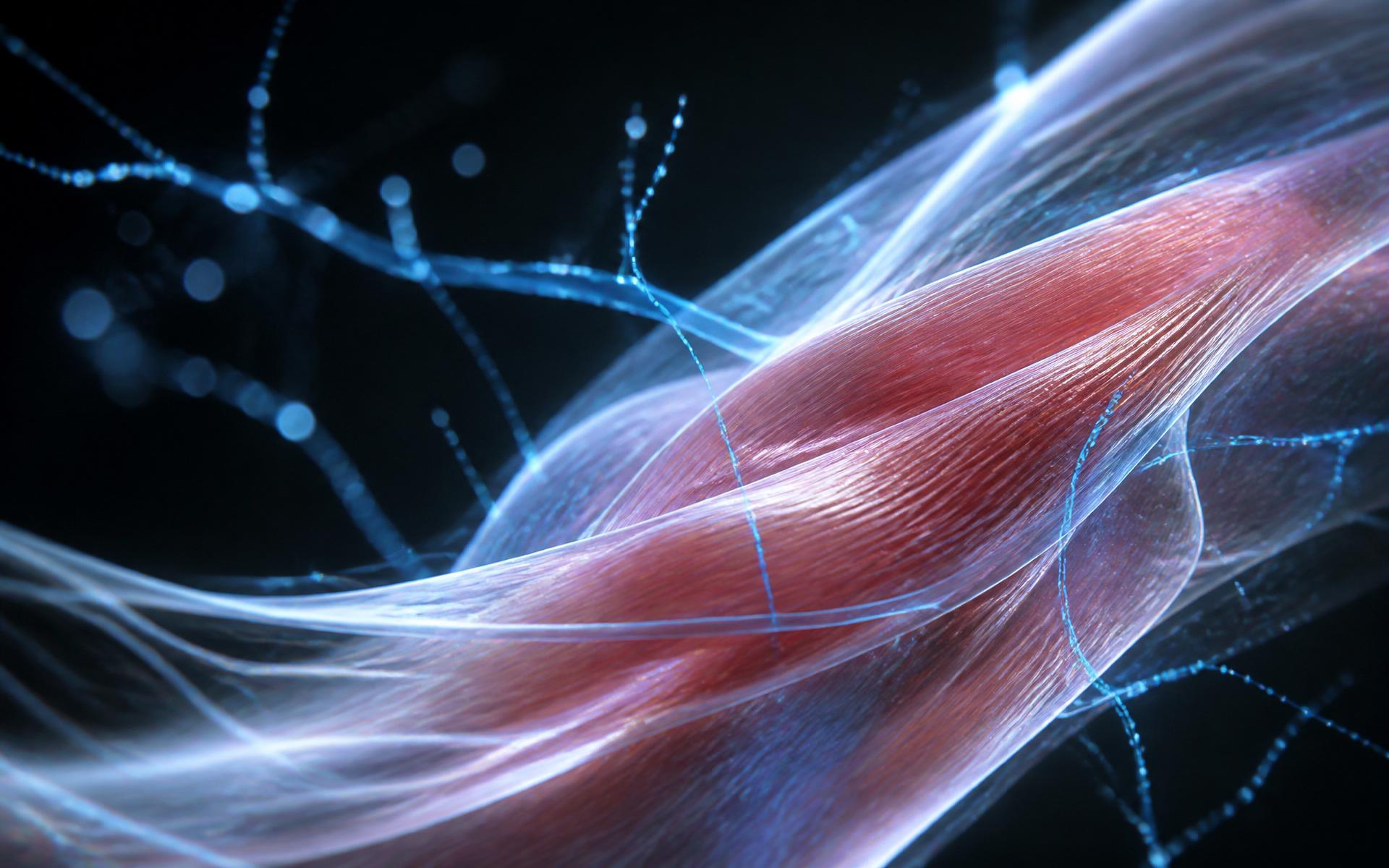 Close-up of muscle fibers illuminated with electric blue light
